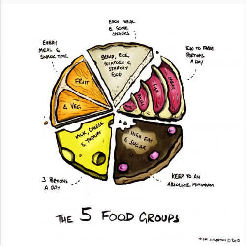 Food Groups Y3