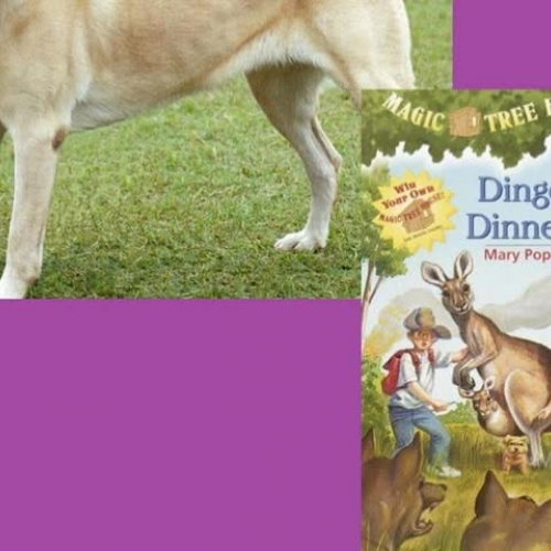 Dingoes at Dinnertime- Jefferson Book Trailer- JT