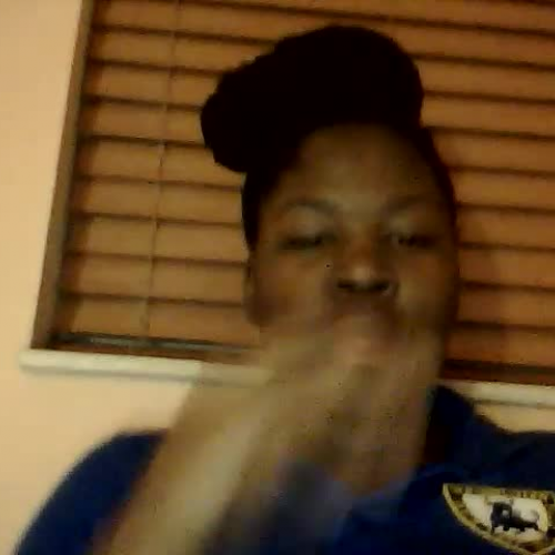 03.02 Describe the Family Visual Presentation