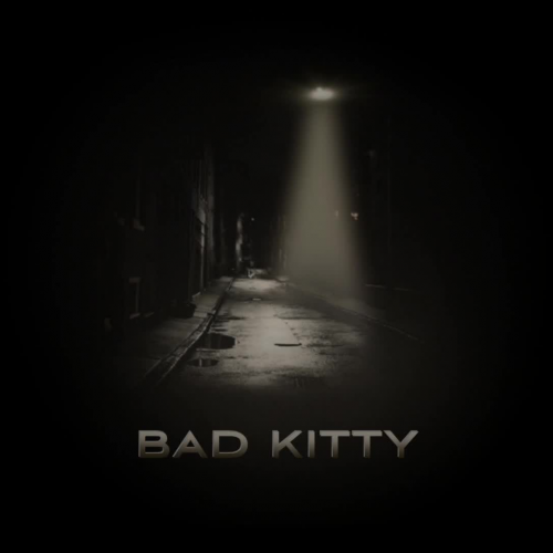 Bad Kitty Gets a Bath book trailer