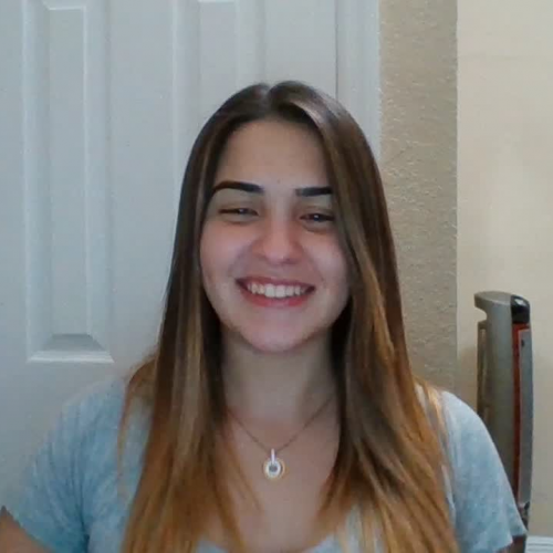 3.02 Describing your family visual presentation