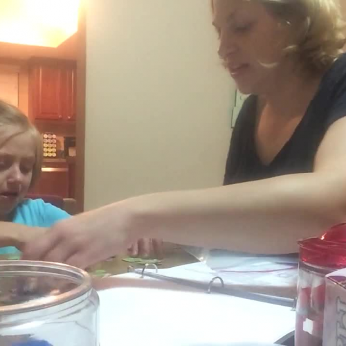 Choice Assessment Video