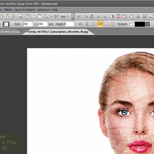 How to do Disintegration Effect with Photo Pos Pro v3