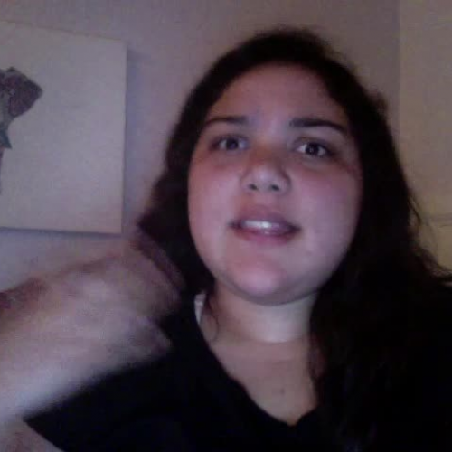 03.02 Describe the Family Visual Presentation