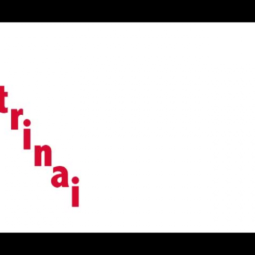 doctrinaire/ desert hare