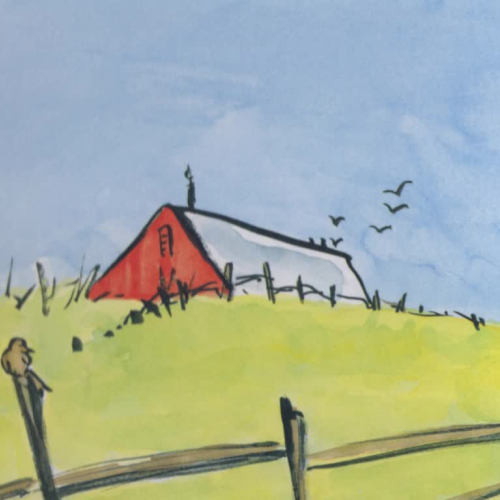 Doreen Cronin Author FAQ's