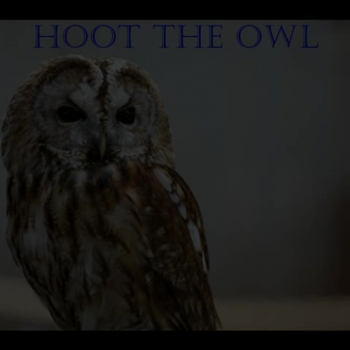 Hoot the Owl and the Environment