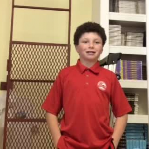 MCDS-20, Dog Project