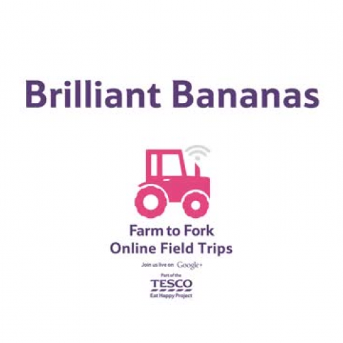 A Day in the Life of a Costa Rican School Pupil