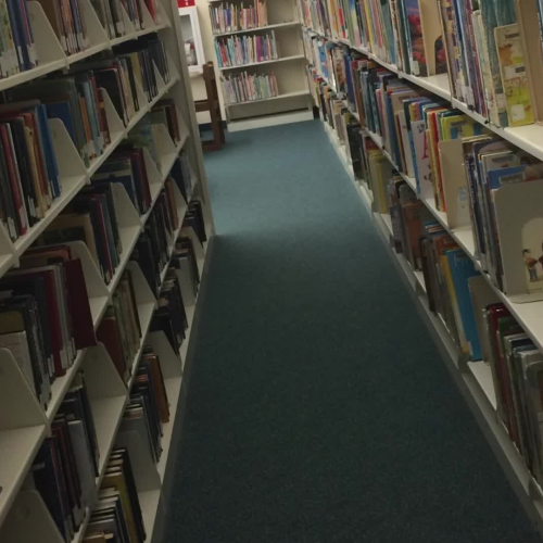 3.05 Poetry Slam- The Library Girl