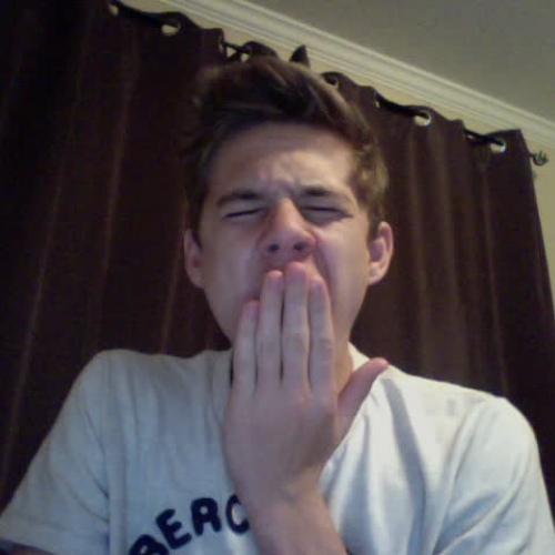 03.02 Describe the Family Visual Presentation