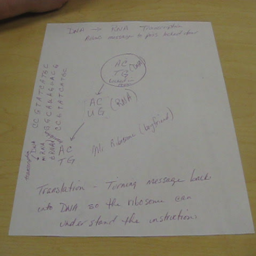 DNA and RNA - Hey Boyfriend