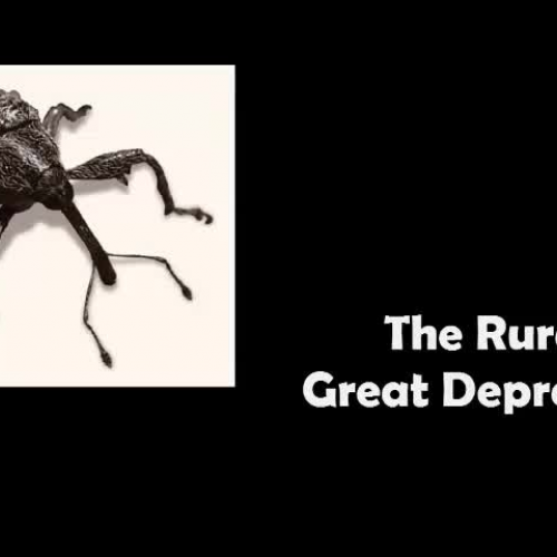 Song of the South: The Rural Great Depression