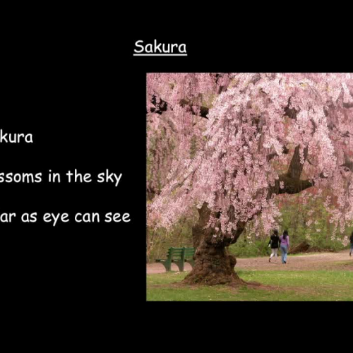 Sakura Sing-Along