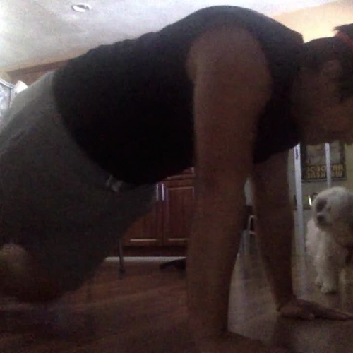 1.03 Fitness Assessments Video Submission