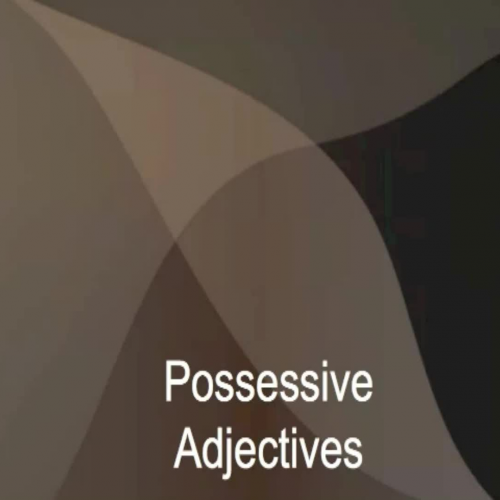 Possessive Adjectives PPT