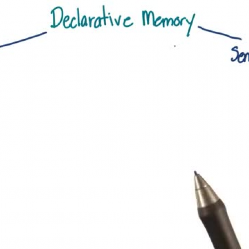 Explicit or declarative memory