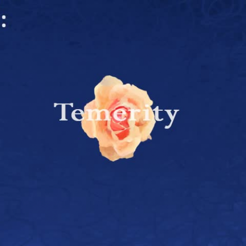 SAT word animation- Temerity 