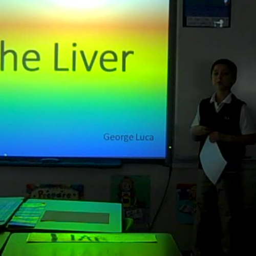 George DQ2 Liver