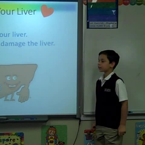 George QA2 Liver