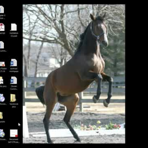 excel for hominid lab