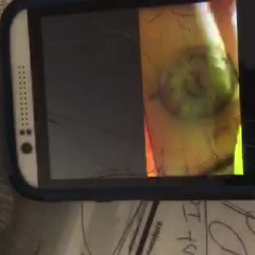 Lab Video taken at home - Ramir 1