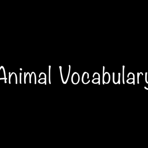 Animal Vocabulary 