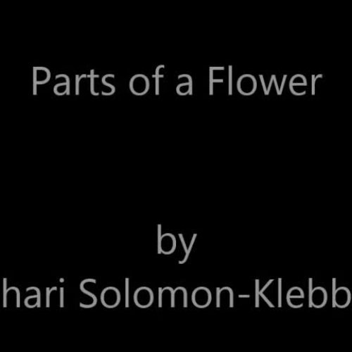 Parts of a Flower - ASL Solomon-Klebba
