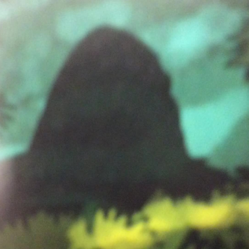 Tracking Bigfoot book trailer