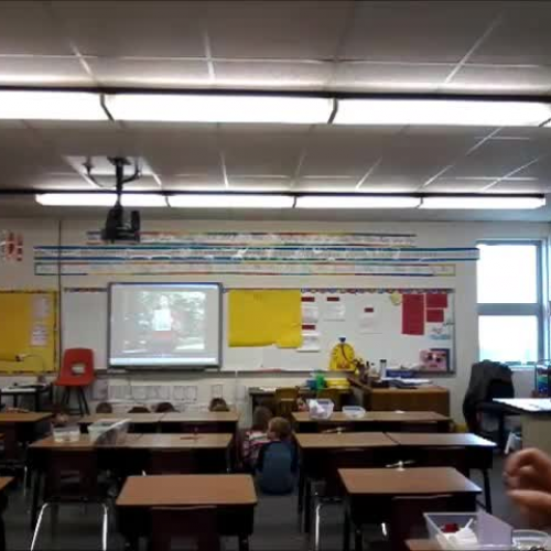 Oil Spills and Pollution