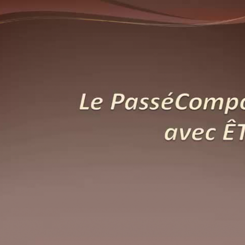 le passé composé avec être