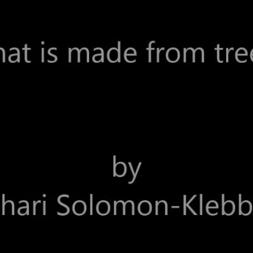 What is made from trees? ASL - Solomon-Klebba