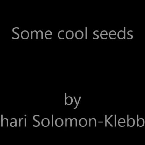 Some cool seeds - ASL - Solomon-Klebba