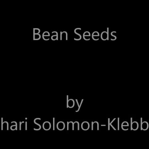 Bean Seeds - ASL - Solomon-Klebba