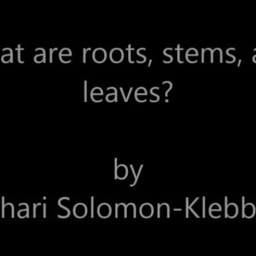What are leaves - ASL - Solomon-Klebba