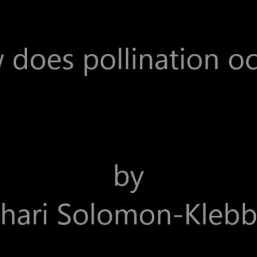 How does pollination occur - ASL - Solomon-Klebba