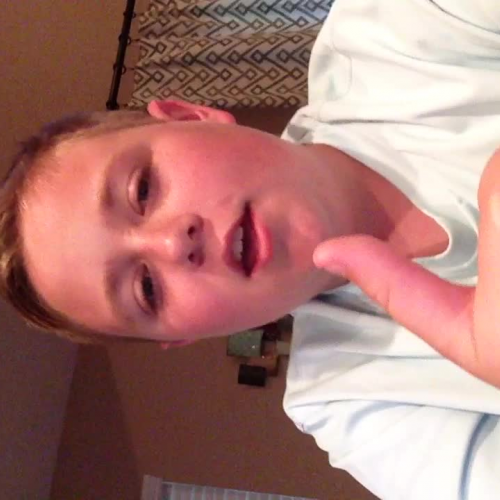 3.02 Describe the Family Visaul Presentation