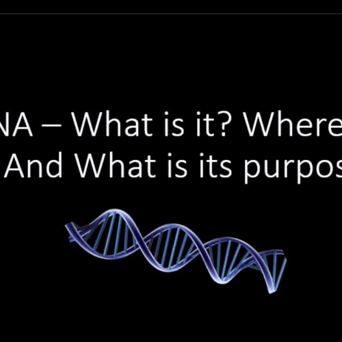 Czerepak Science Lab Video 