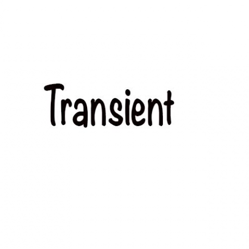 SAT Vocabulary ( Transient ) 