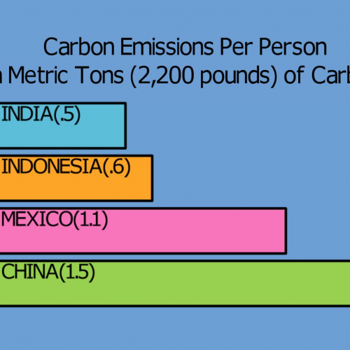 Carbon Emissions per Person in animated graphs