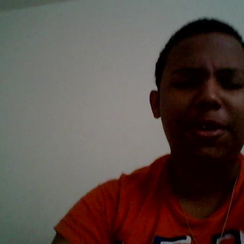 03.02 Describe the Family Visual Presentation