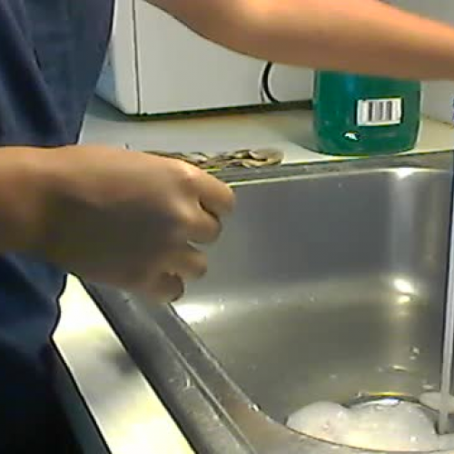 Hand Washing