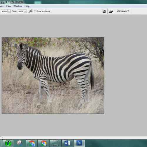 PhotoShop Lesson 2: Color Effects (Zebra)