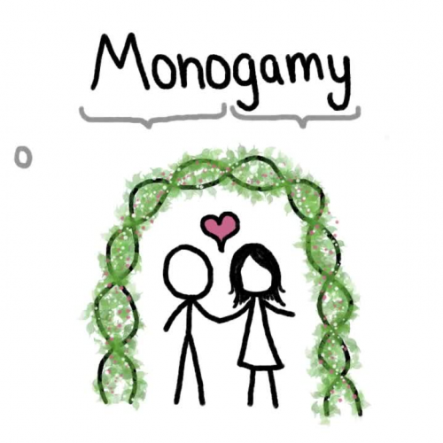 Are any Animals Truly Monogamous_