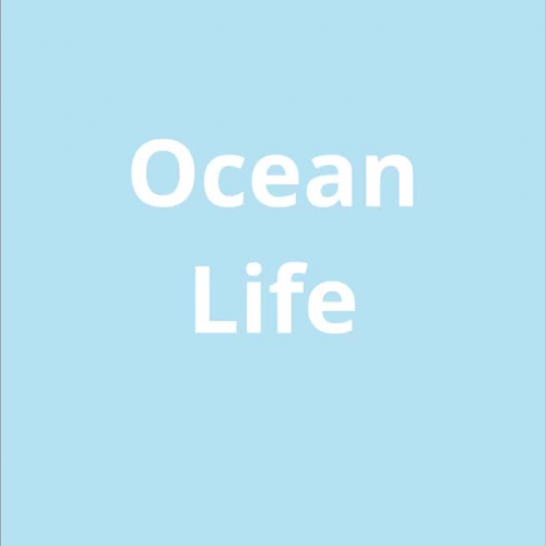 Ocean Life Book 1
