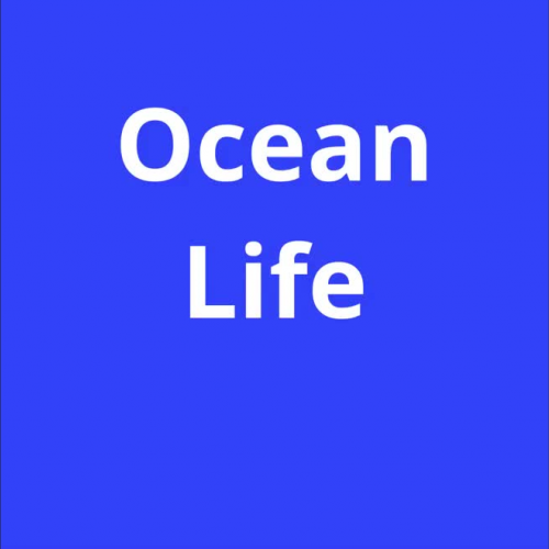 Ocean Life Book 2