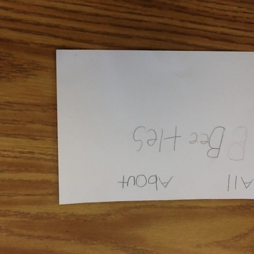 All About Beetles Paper Slides 