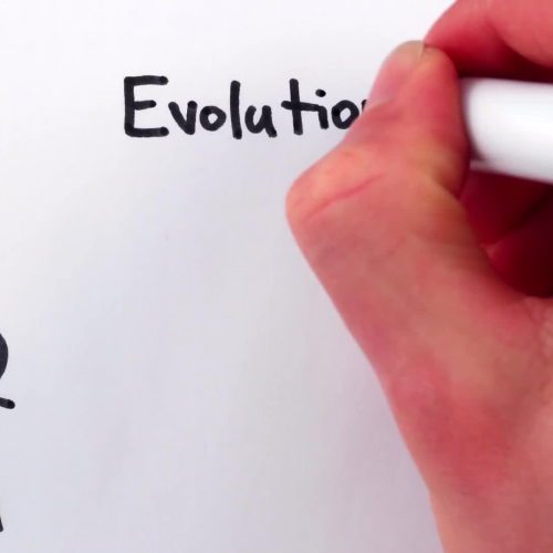 Evolution vs Natural Selection