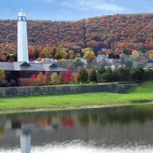 A Savvy Introduction