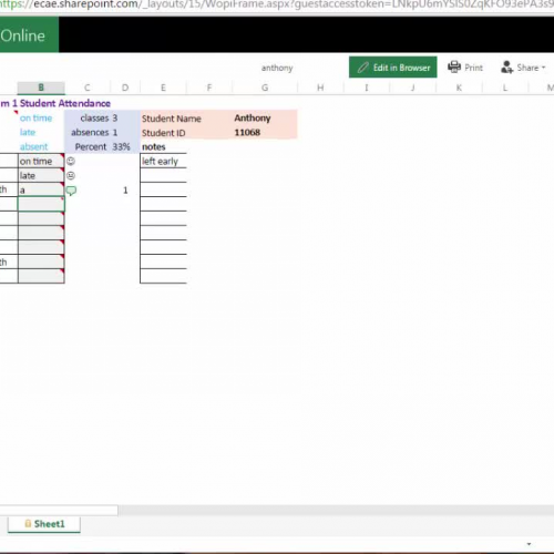 ECAE attendance guide